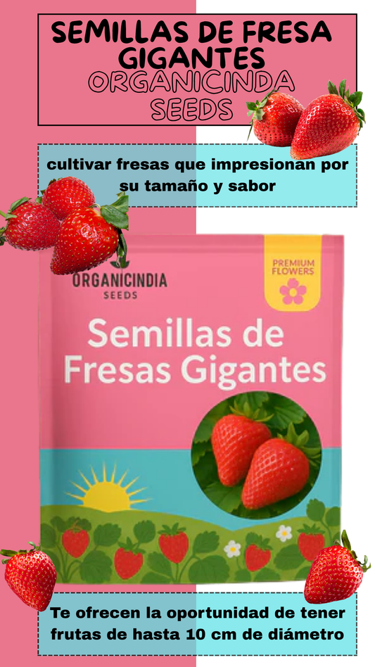 Organicidia®  Semillas Fresas Gigantes x100 Semillas + GUIA Como Es El Proceso De Germinación